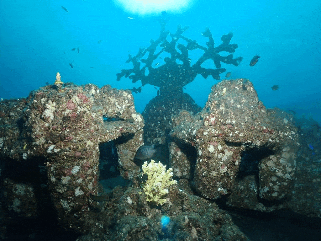 Artificial Coral Reef