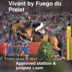 Fuego du Prelet offspring
