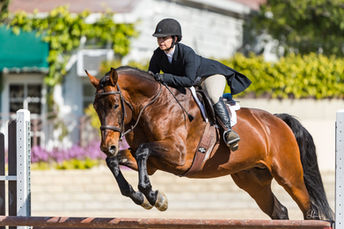 Diamante Hunter Derby.jpg