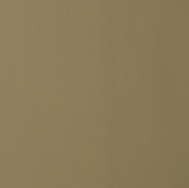 Bamboo Forest_13.jpg