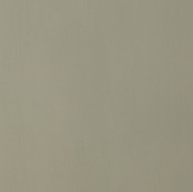 Bamboo Forest_11.jpg