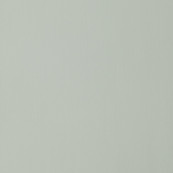 Bamboo Forest_10.jpg