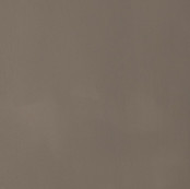 Bamboo Forest_03.jpg