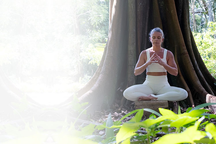 nanda jank emotion yoga, respiração, meditação