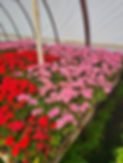 20231007_083444.jpg