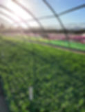 20231013_073402.jpg