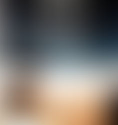 酒とバラの日々