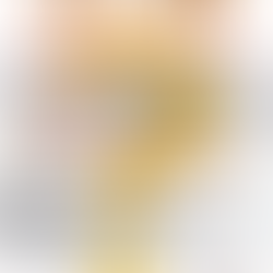 幻の(?)手羽先からあげ試食会