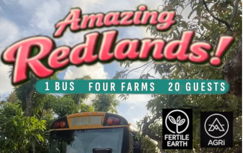 Day 4 - Amazing Redlands Bus Tour
