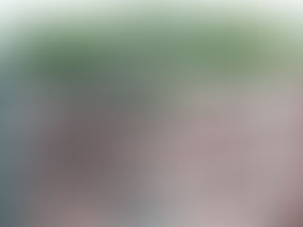 מה זה רישום תלת מימדי?