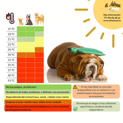 CUIDADO CON LA SUBIDA DE LAS TEMPERATURAS Y NUESTROS PELUDOS