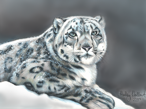 Screen Shot 2023-04-02 at 6.18.11 PM.png