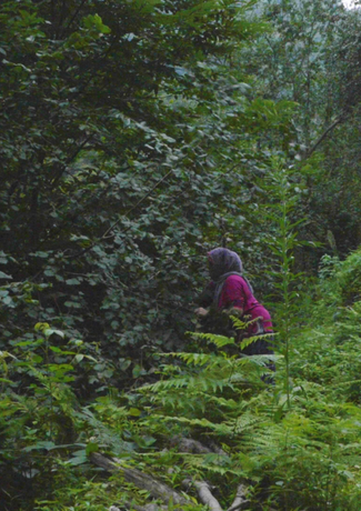 Image 9.png