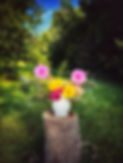 Pink and yellow flower arrangement featuring dahlias, dwarf sunflowers and hydrangeas