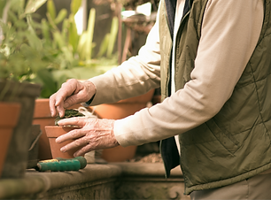 Close-up of wrinkled hands holding a pot for a plant or to start seeds