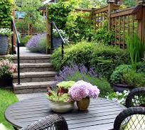 garden.jpeg