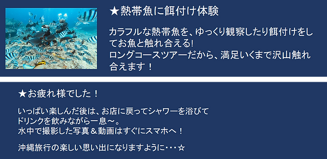 プレ体.png
