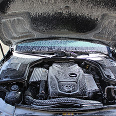 Engine bay cleaning and specialized bug removal - gold detailing package