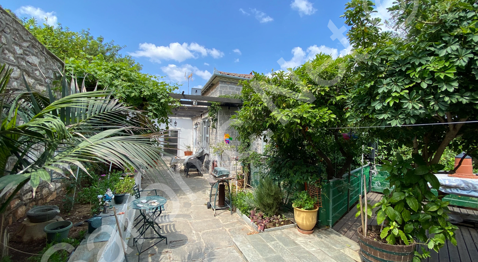 Street door opens to courtyard with a small garden and decking to the right.