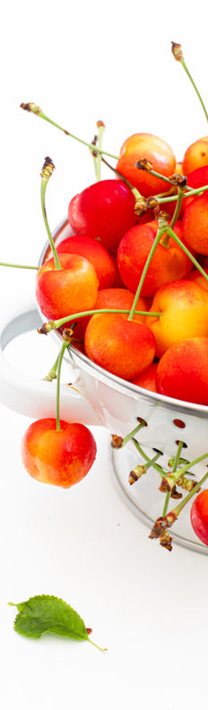 product-photography-commercial-branding-clean-background