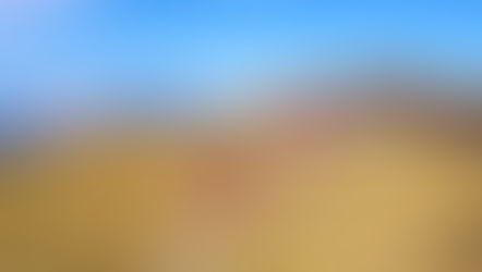 神の山⛩️開山記念登拝