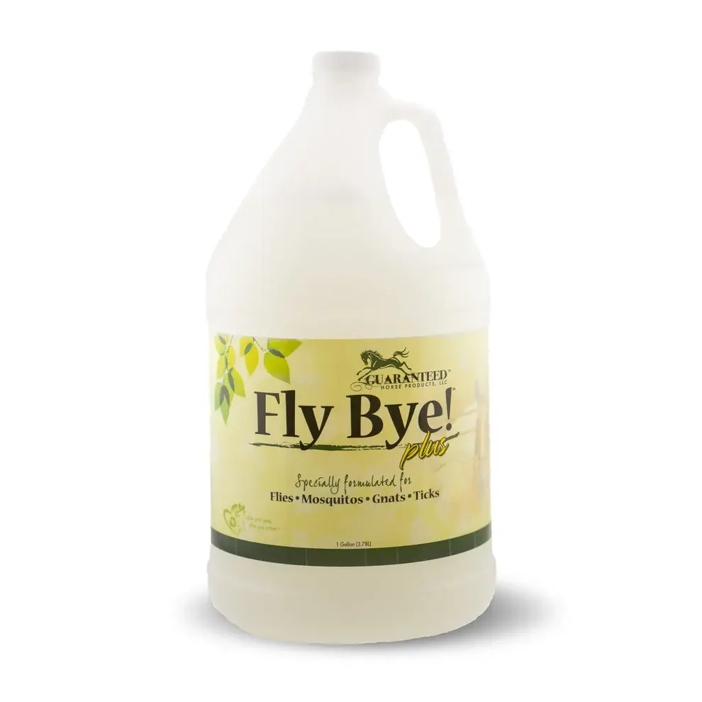 1 gallon Fly Bye Plus refill with easy pour cap
