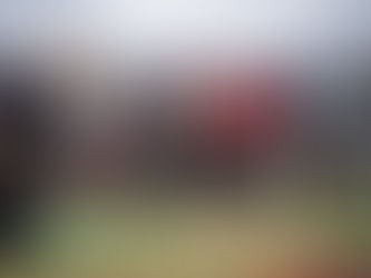 Sefo’dan yeni şarkı: SÖYLENEYDİBU?