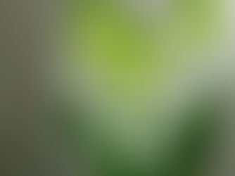 Transparency, Collaboration, and Occasional Lively Debate: Life at CWC (Mid3Q18 Newsletter)