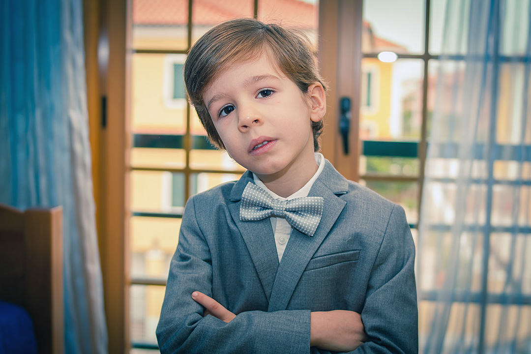 o Papillon do Francisco