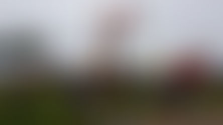 The Tilly visits the Royal
Norfolk Show