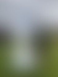 Bedfordshire Farmer Nigel Barnes