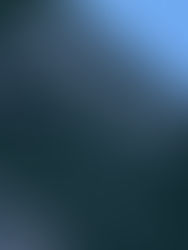 Thank you to @BaileyTrailer for a very interesting morning talking @tilly_trailer it’s always good t