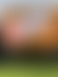 Hunts Forest Group join the Tilly Pass.