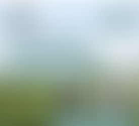 Cornish Mutual add their voice to Tilly Trailer Pass 