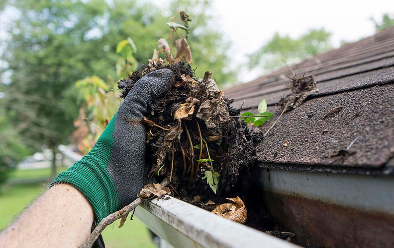 clogged-gutter-on-shingle-roof.jpg