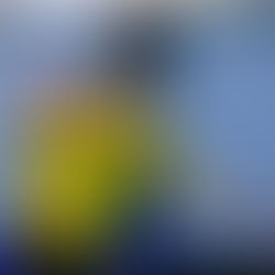 De Cajazeiras para o Sul-Americano: Izzye Rolim transforma início na escola em sonho na Seleção