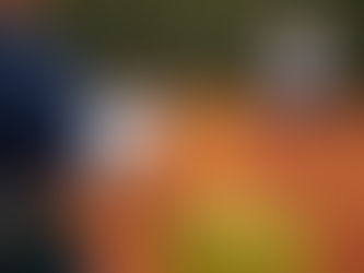 Escolha o profissional certo para aprender