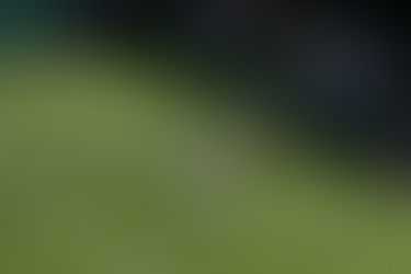 "Minha melhor partida na grama", diz Fonseca após vencer mais uma em Wimbledon
