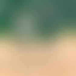 Storck fatura mais um ouro no Panamá, agora nas mistas com Duda Carbone