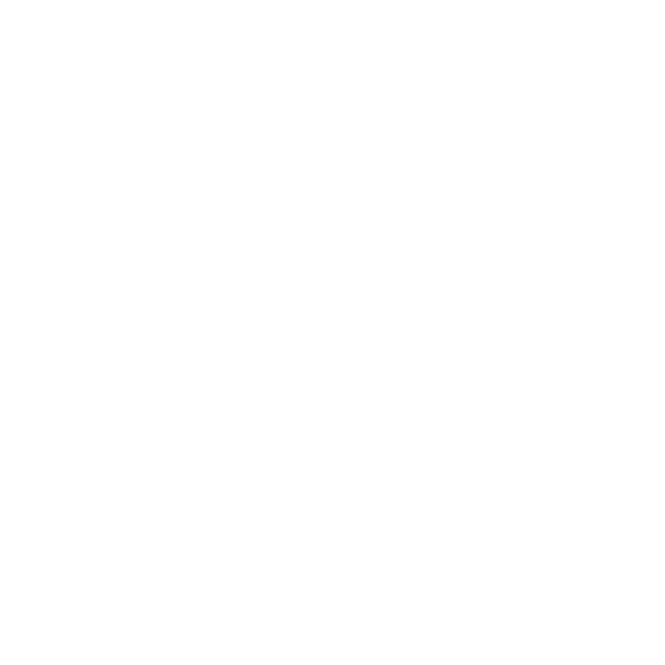 website.gif
