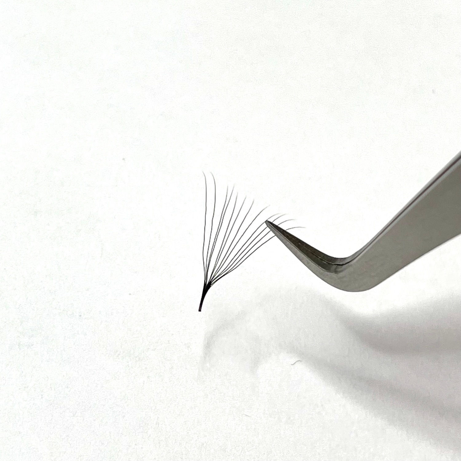 12D (0.03) Premade Mega Volume Fans - 1000 Fans