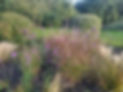 20211004_081829.jpg