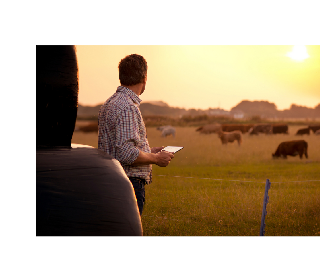 Untitled design (18).png