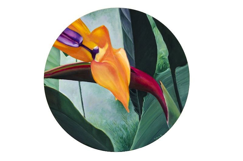 Bird of Paradise Flower Pictures- Devotion