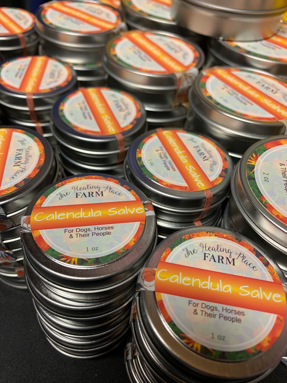 Thumbnail: Calendula Salve ~ For Dogs, Horses, & Their People