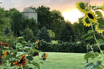 Silo with sunflowers.jpg