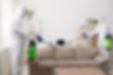 luchshie-sluzhby-dezinfektsii-v-Sankt-Peterburge-DEZHOUSE.jpg