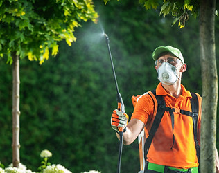caucasian-gardener-applying-pesticide-in-a-lush-ga-2025-03-16-20-31-20-utc.jpg