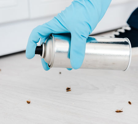 close-up-of-exterminator-holding-toxic-spray-can-n-2024-11-07-21-22--utc