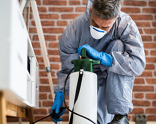 pest-control-brisbane.jpg